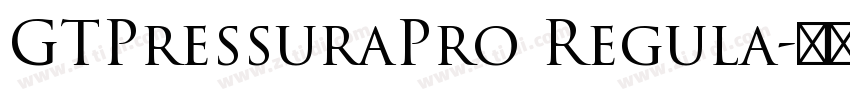 GTPressuraPro Regula字体转换